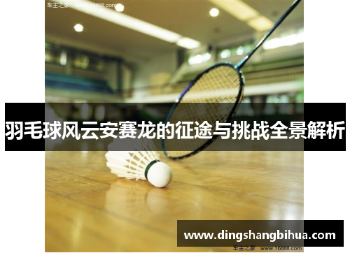 羽毛球风云安赛龙的征途与挑战全景解析