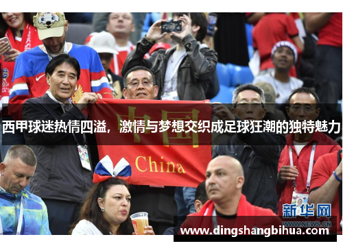 西甲球迷热情四溢，激情与梦想交织成足球狂潮的独特魅力