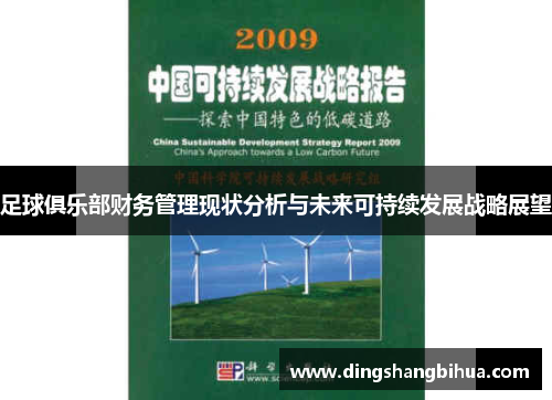足球俱乐部财务管理现状分析与未来可持续发展战略展望